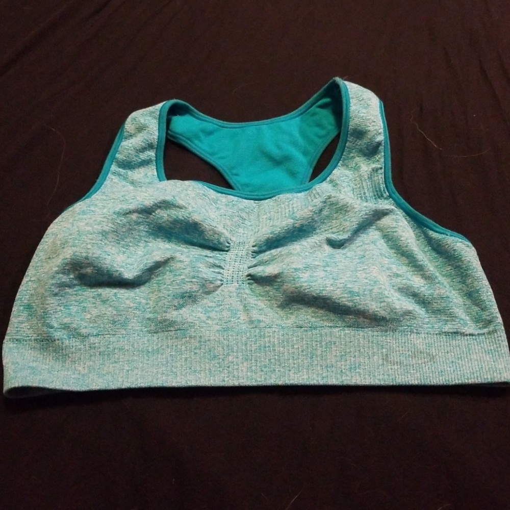 Heathered Blue Champion Sports Bra